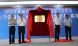 龙年新植物爆料最新消息,神秘龙韵花卉引领植物界潮流